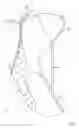 Fig. 02 - Climbing shoe with a tension support sole
