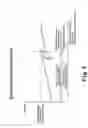 Fig. 06 - Exhaust gas recirculation system for internal combustion engine