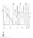 Fig. 07 - Throttle system abnormality determination apparatus