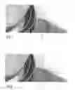 Fig. 04 - Data carrier comprising a gravure printed image and methods for transposing image motifs into linear structures and onto a gravure printing plate