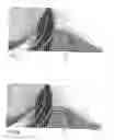 Fig. 06 - Data carrier comprising a gravure printed image and methods for transposing image motifs into linear structures and onto a gravure printing plate