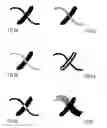 Fig. 08 - Data carrier comprising a gravure printed image and methods for transposing image motifs into linear structures and onto a gravure printing plate