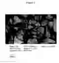 Fig. 02 - Method for preparing optical fluoride crystals