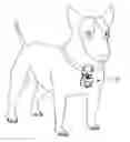 Fig. 01 - Dog flashlight kit