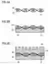 Fig. 03 - Press belt and manufacturing method thereof