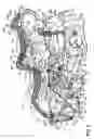 Fig. 06 - Brake caliper support structure for motorcycle