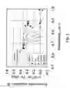 Fig. 02 - Photo-processing and cleaning of pes and psf membranes