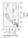 Fig. 06 - Photo-processing and cleaning of pes and psf membranes