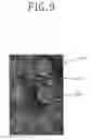 Fig. 09 - Method of deciding focal plane and method of crystallization using thereof
