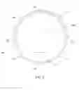Fig. 06 - Container