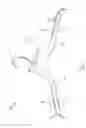 Fig. 02 - Knitwear hanger
