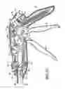 Fig. 14 - Knife retraction arm for a curved cutter stapler