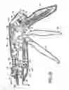 Fig. 19 - Knife retraction arm for a curved cutter stapler