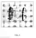Fig. 04 - Test object for calibration of imaging measurements of mammalian skeletal joints