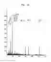 Fig. 12 - Apparatus and method for analyzing samples in a dual ion trap mass spectrometer