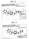 Fig. 08 - Mass spectrometric data analyzing method, mass spectrometric data analyzing apparatus, mass spectrometric data analyzing program, and solution offering system