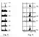 Fig. 07 - Photon violation spectroscopy