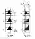 Fig. 09 - Photon violation spectroscopy