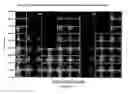 Fig. 02 - Apparatus and method for implantation of elements, species and compositions in nanostructured materials