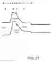 Fig. 24 - Bipolar transistor