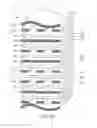 Fig. 03 - Multi-layer substrate structure for reducing layout area