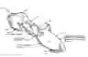Fig. 01 - Aerodynamic coasting bicycle and method of use
