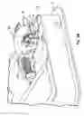 Fig. 22 - Load floor latch