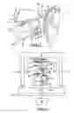 Fig. 02 - Vehicle interior trim panel component assembly and in-mold method of manufacturing same