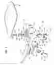 Fig. 03 - Chair with a writing tablet