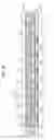 Fig. 13 - Dual panel type organic electroluminescent display device and method of fabricating the same