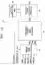 Fig. 10 - Apparatus and method for driving plasma display panel