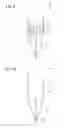 Fig. 09 - Ultrasonic electronic stylus and stylus-input system