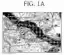 Fig. 02 - Method for displaying multi-level text data in three-dimensional map