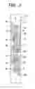Fig. 04 - Inkjet head