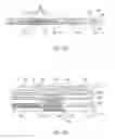 Fig. 08 - Printhead assembly with stacked ink distribution sheets