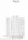 Fig. 07 - Liquid crystal display device wherein light guide plate having particular patterns