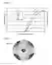 Fig. 09 - Liquid crystal display device for transflector having opening in a first electrode for forming a liquid crystal domain and openings at first and second corners of the domain on a second electrode