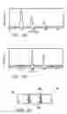 Fig. 08 - Method and apparatus for performing second harmonic optical coherence tomography
