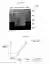 Fig. 05 - Image-forming device for correcting printing characteristics