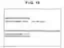 Fig. 14 - Image processing system and information processing method