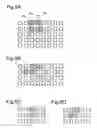 Fig. 07 - Image processing apparatus for converting image data by unit of multiple pixels and printing apparatus