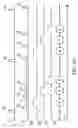 Fig. 05 - Controlling apparatus and method for image scanning system