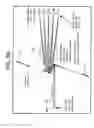 Fig. 08 - High speed, high efficiency optical pattern generator using rotating optical elements