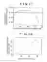 Fig. 10 - Faraday rotation device and optical device using same