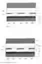 Fig. 07 - Optically variable element comprising a sequence of thin-film layers