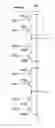 Fig. 01 - Combination nonvolatile memory using unified technology with byte, page and block write and simultaneous read and write operations