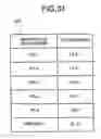 Fig. 32 - Method for surveying layout of information devices