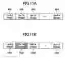 Fig. 08 - ROM-RAM medium and storage device thereof