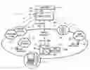 Fig. 01 - System for application server autonomous access across different types of access technology networks