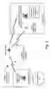 Fig. 05 - Cancellation of interference in a communication system with application to S-CDMA